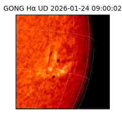 gong - 2026-01-24T09:00:02