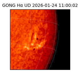 gong - 2026-01-24T11:00:02