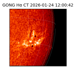 gong - 2026-01-24T12:00:42