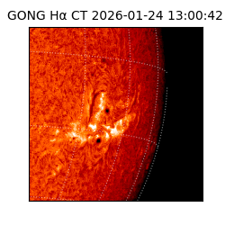 gong - 2026-01-24T13:00:42