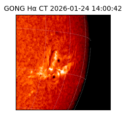 gong - 2026-01-24T14:00:42