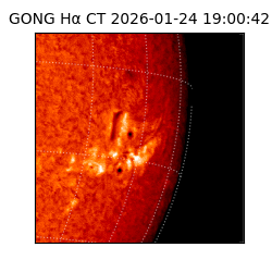 gong - 2026-01-24T19:00:42