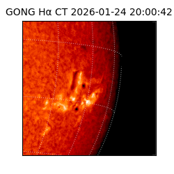 gong - 2026-01-24T20:00:42