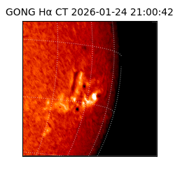 gong - 2026-01-24T21:00:42