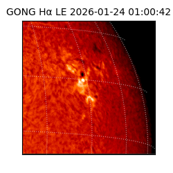 gong - 2026-01-24T01:00:42