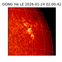 gong - 2026-01-24T02:00:42