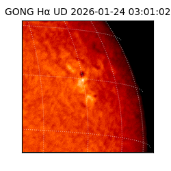 gong - 2026-01-24T03:01:02