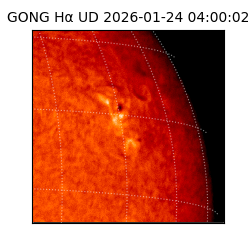 gong - 2026-01-24T04:00:02
