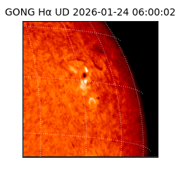 gong - 2026-01-24T06:00:02