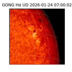 gong - 2026-01-24T07:00:02