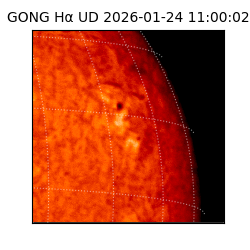 gong - 2026-01-24T11:00:02