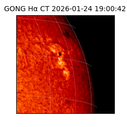 gong - 2026-01-24T19:00:42