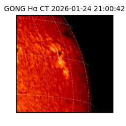 gong - 2026-01-24T21:00:42