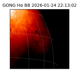 gong - 2026-01-24T22:13:02