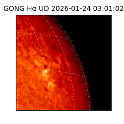 gong - 2026-01-24T03:01:02