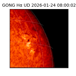 gong - 2026-01-24T08:00:02