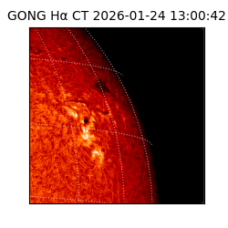 gong - 2026-01-24T13:00:42