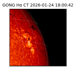 gong - 2026-01-24T18:00:42