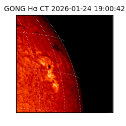 gong - 2026-01-24T19:00:42