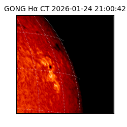 gong - 2026-01-24T21:00:42