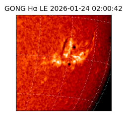 gong - 2026-01-24T02:00:42