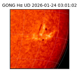 gong - 2026-01-24T03:01:02