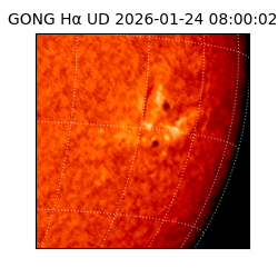 gong - 2026-01-24T08:00:02