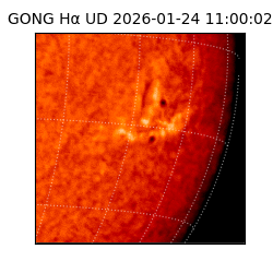 gong - 2026-01-24T11:00:02