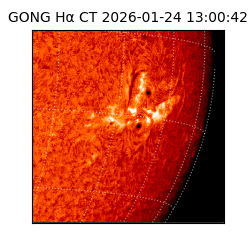 gong - 2026-01-24T13:00:42