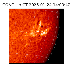 gong - 2026-01-24T14:00:42