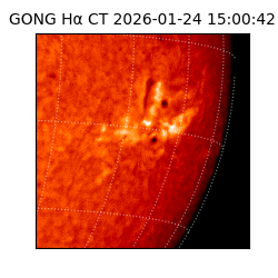 gong - 2026-01-24T15:00:42
