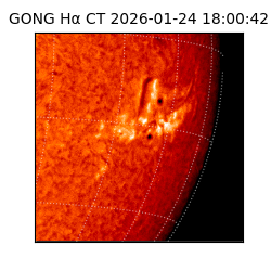 gong - 2026-01-24T18:00:42