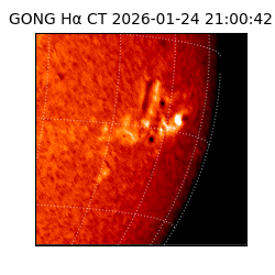 gong - 2026-01-24T21:00:42