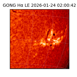 gong - 2026-01-24T02:00:42