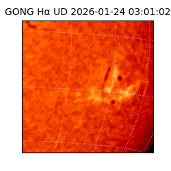 gong - 2026-01-24T03:01:02