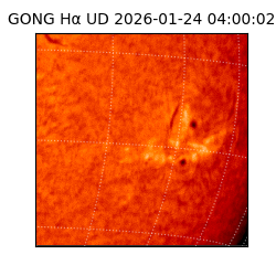 gong - 2026-01-24T04:00:02
