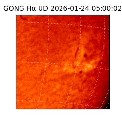 gong - 2026-01-24T05:00:02