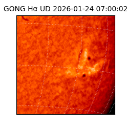 gong - 2026-01-24T07:00:02