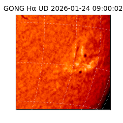 gong - 2026-01-24T09:00:02