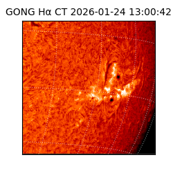 gong - 2026-01-24T13:00:42