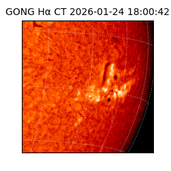 gong - 2026-01-24T18:00:42