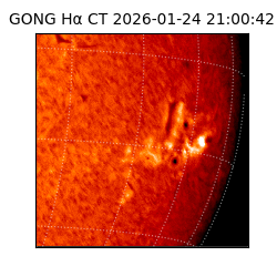 gong - 2026-01-24T21:00:42