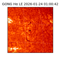 gong - 2026-01-24T01:00:42