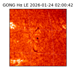 gong - 2026-01-24T02:00:42