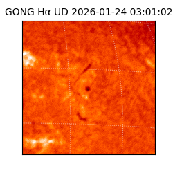 gong - 2026-01-24T03:01:02