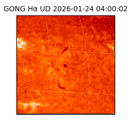 gong - 2026-01-24T04:00:02