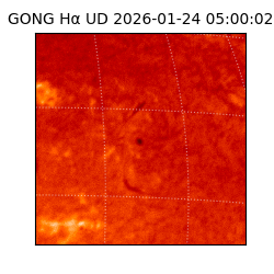 gong - 2026-01-24T05:00:02