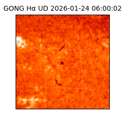 gong - 2026-01-24T06:00:02