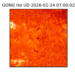 gong - 2026-01-24T07:00:02