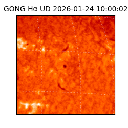 gong - 2026-01-24T10:00:02